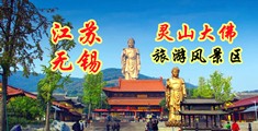 大鸡吧操日本女生视频江苏无锡灵山大佛旅游风景区